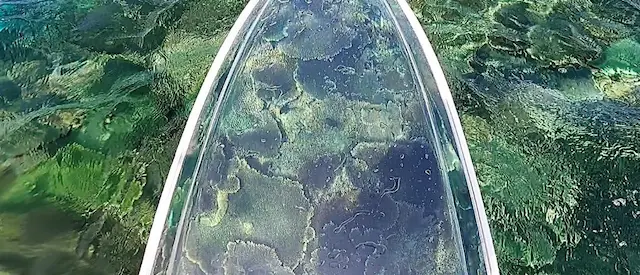 クリアサップから海の中が透けて見えている