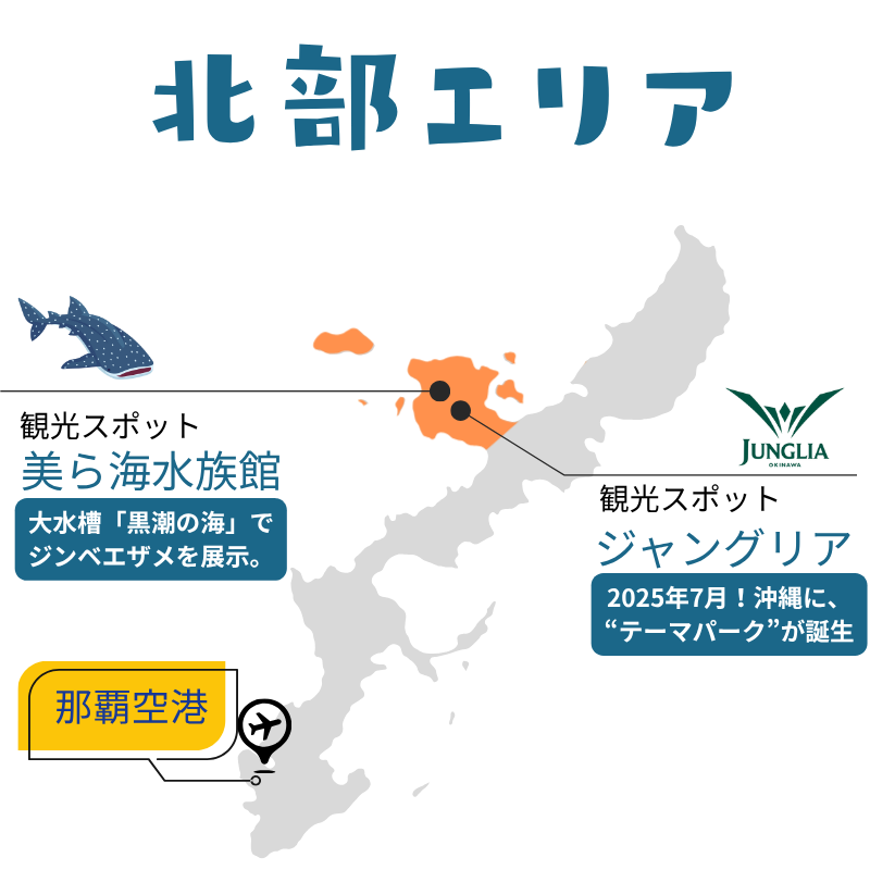 沖縄本島北部|のんびりダイビングポイント