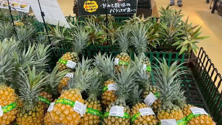 地元特産ピーチパイン