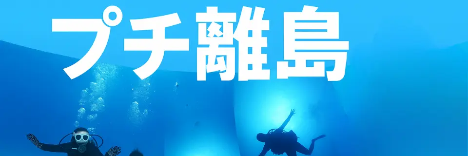 沖縄離島プランの背景