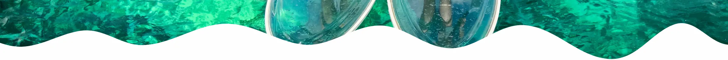 沖縄の綺麗な海がクリアサップから透けてみえている